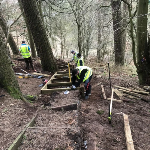 MGH Forestry team wearing safety gear and rebuilding steps on a woodland trail